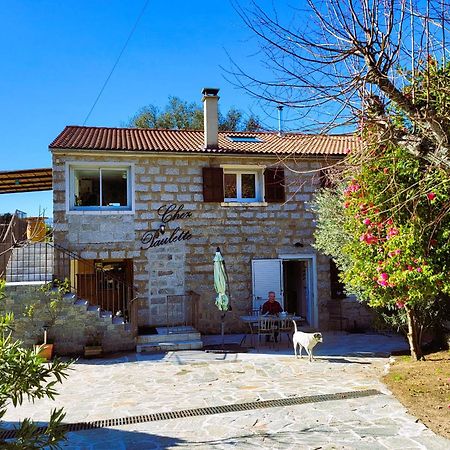 Chez Paulette - Meuble De Tourisme Classe 3 Etoiles ゾンザ エクステリア 写真